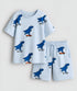 Plum & Pop Kids Boys Cotton Printed T-Shirt & Shorts Set - Dino Skate