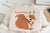 Boy's Cotton Fleece Winter Squirrel Printed Sweatshirt With Joggers Set - Cream