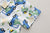 Boy's Dino Printed Shirt With Shorts Set
