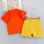 Boy's Orange Lion Print T-Shirt & Shorts Set
